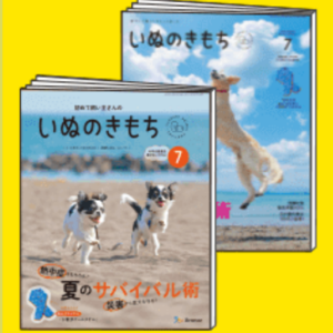 いぬのきもち　7月号　雑誌　付録